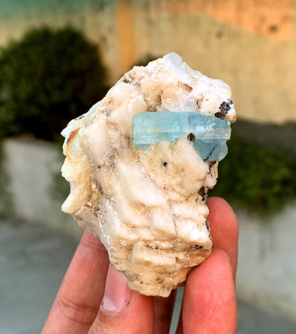 Natural Sky Blue Color Aquamarine Crystal on Feldspar from Pakistan - 180 grams