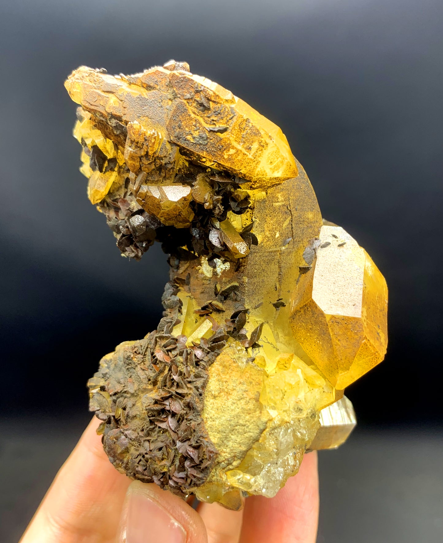 Natural Siderite Cluster on Yellow Quartz from Skardu Pakistan - 163 grams