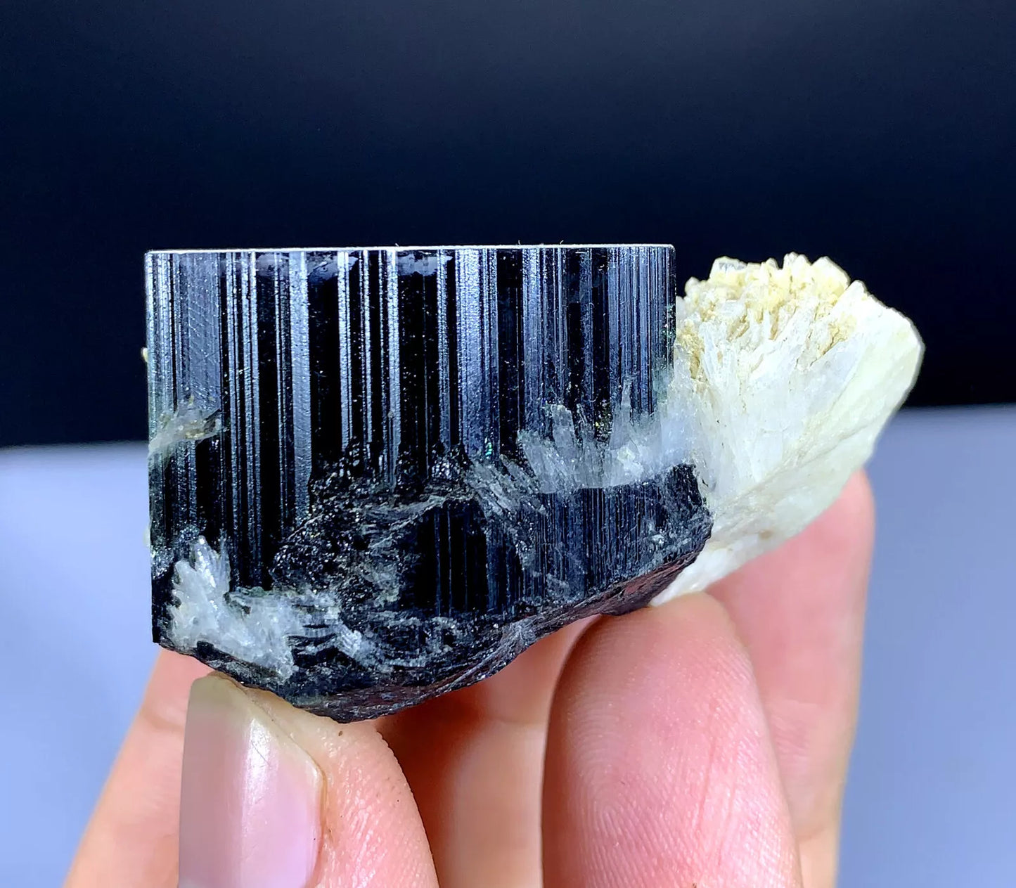 Natural Schorl Black Tourmaline with Albite Afghanistan