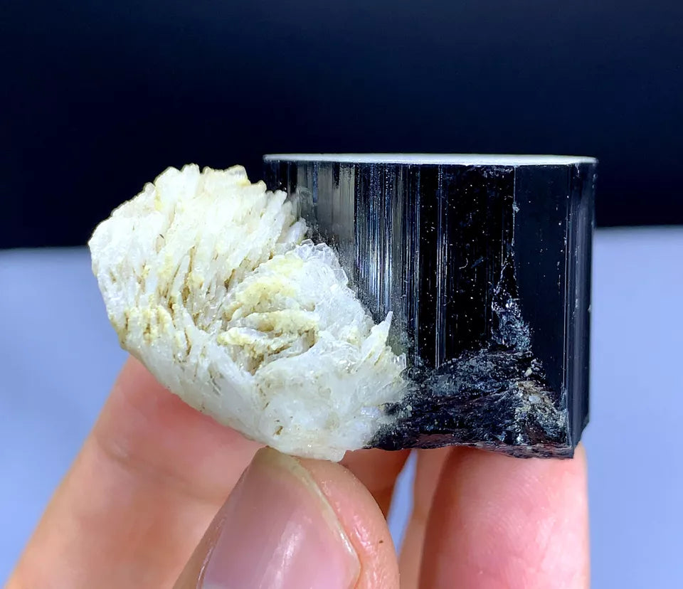 Natural Schorl Black Tourmaline with Albite Afghanistan