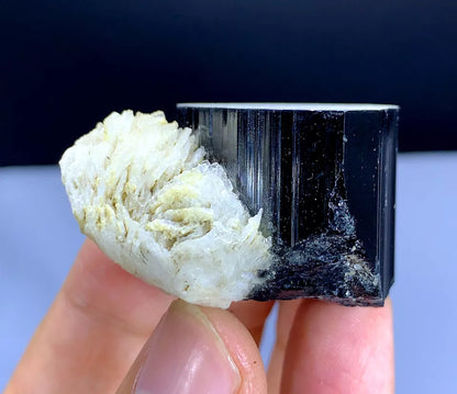 Natural Schorl Black Tourmaline with Albite Afghanistan