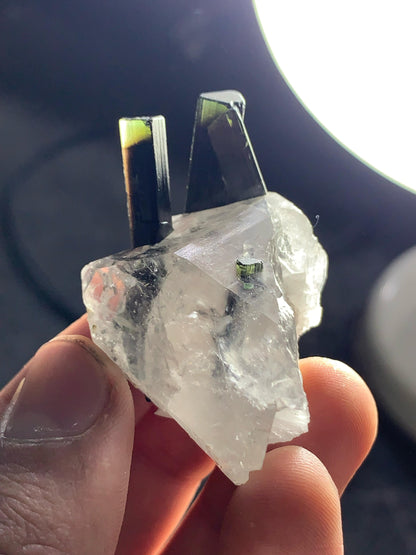 Natural Green Cap Tourmaline on Quartz from Pakistan - 32 grams