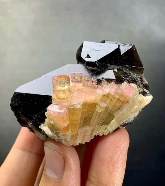 Orange Color Tourmaline Cluster on Smoky Quartz from Afghanistan - 81 grams