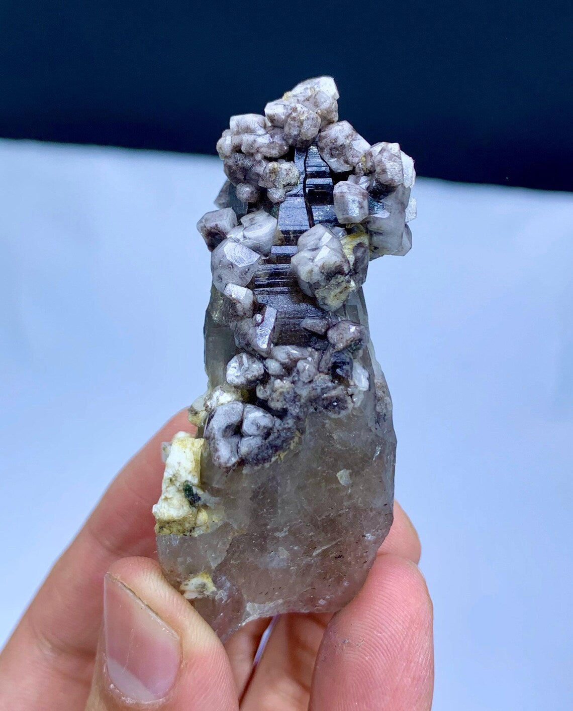 Natural Purple Color Apatite Cluster on Smoky Quartz from Pakistan - 54 grams