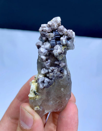 Natural Purple Color Apatite Cluster on Smoky Quartz from Pakistan - 54 grams