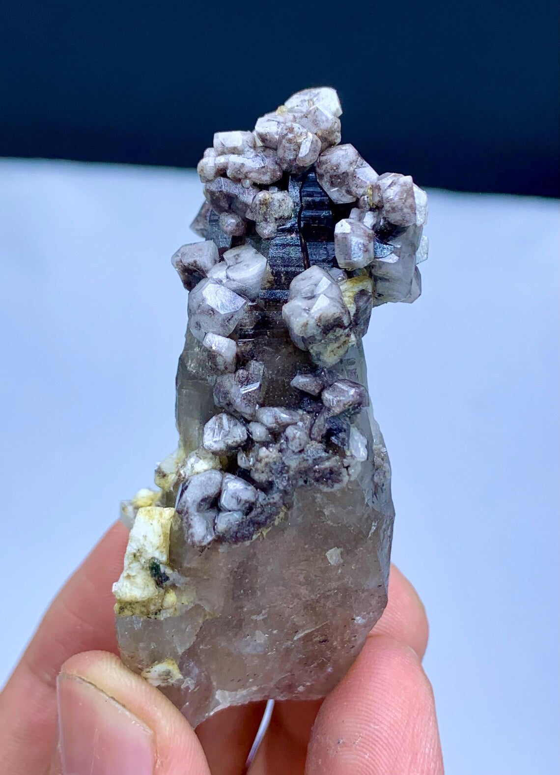 Natural Purple Color Apatite Cluster on Smoky Quartz from Pakistan - 54 grams