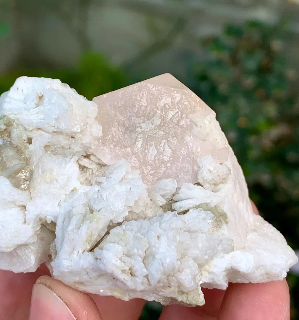 Pink Morganite on Cleavelandite Albite from Afghanistan - 117 grams