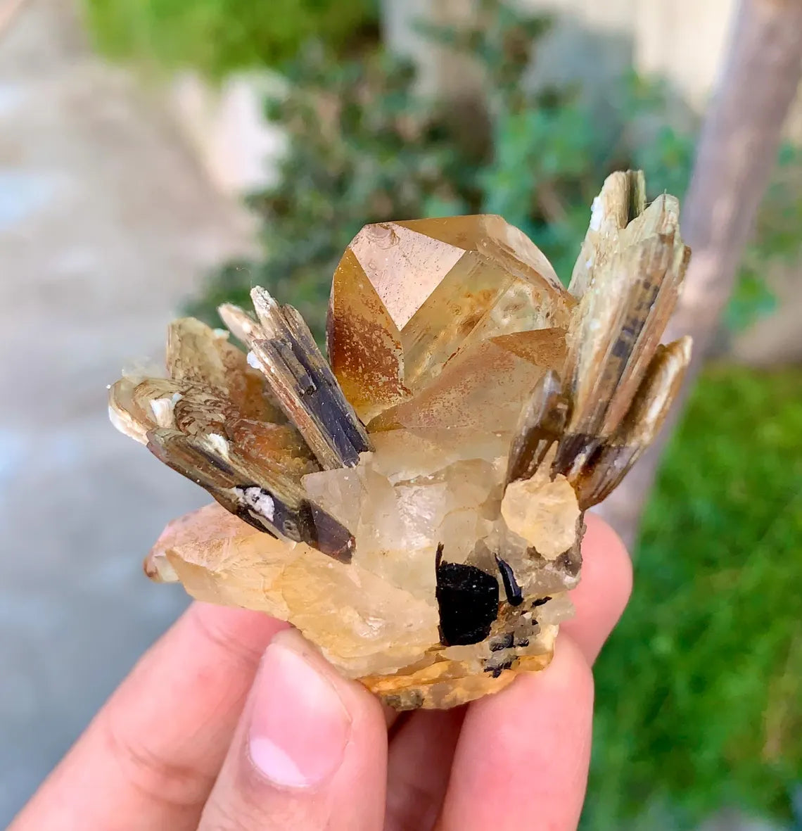 Natural Yellow Quartz on Star Mica, Quartz Crystal, Raw Quartz - 89 grams