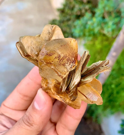 Natural Yellow Quartz on Star Mica, Quartz Crystal, Raw Quartz - 89 grams