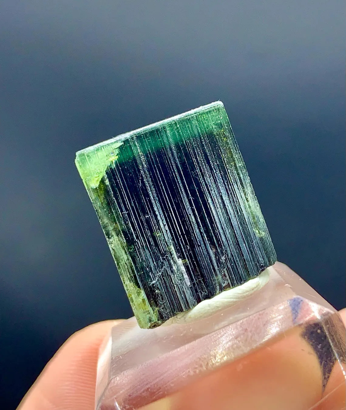 Natural Terminated Green Cap Tourmaline Crystal - 48.60 carats