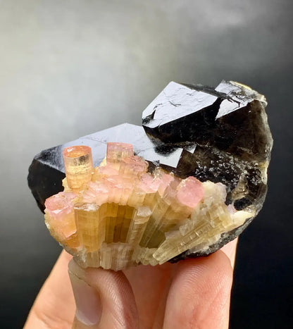 Orange Color Tourmaline Cluster on Smoky Quartz from Afghanistan - 81 grams