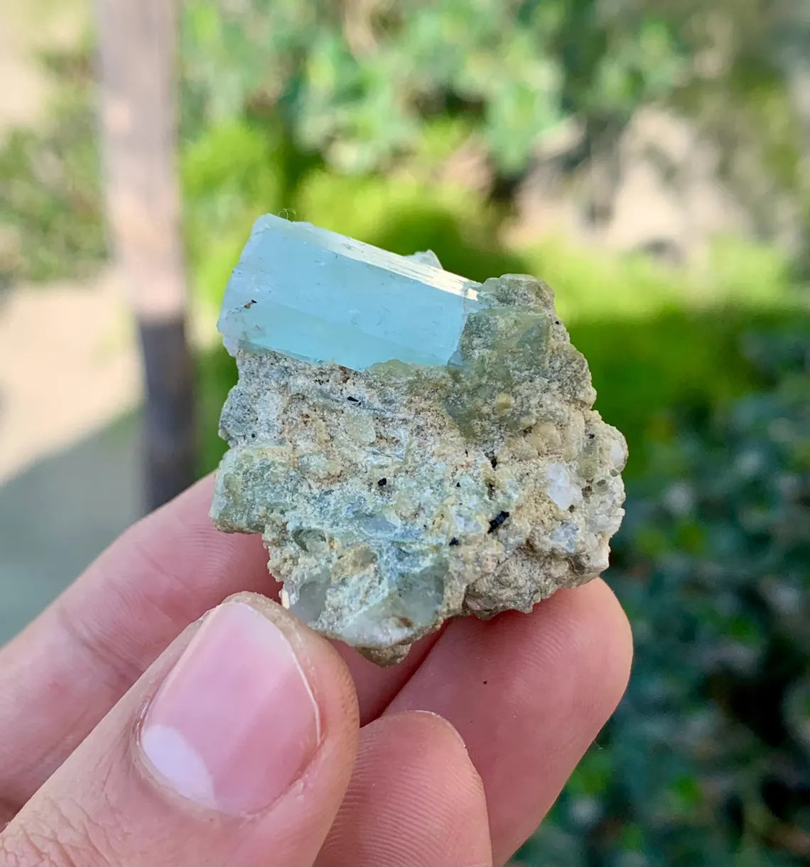 Sky Blue Aquamarine Crystals on Albite, Aquamarine Specimen - 25 grams