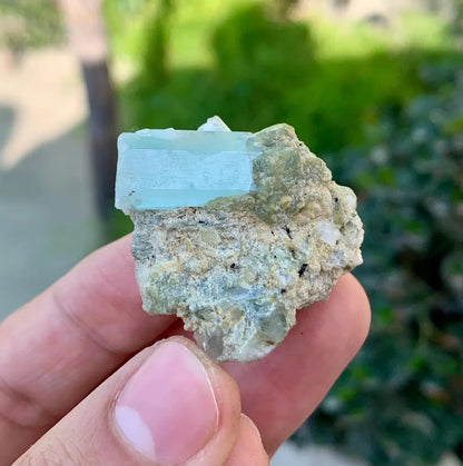 Sky Blue Aquamarine Crystals on Albite, Aquamarine Specimen - 25 grams