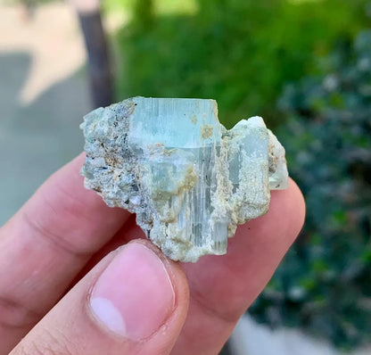 Sky Blue Aquamarine Crystals on Albite, Aquamarine Specimen - 25 grams