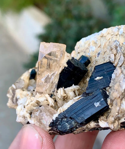 Sherry Color Topaz with Schorl Tourmalines, Quartz and Mica Specimen - 163 grams