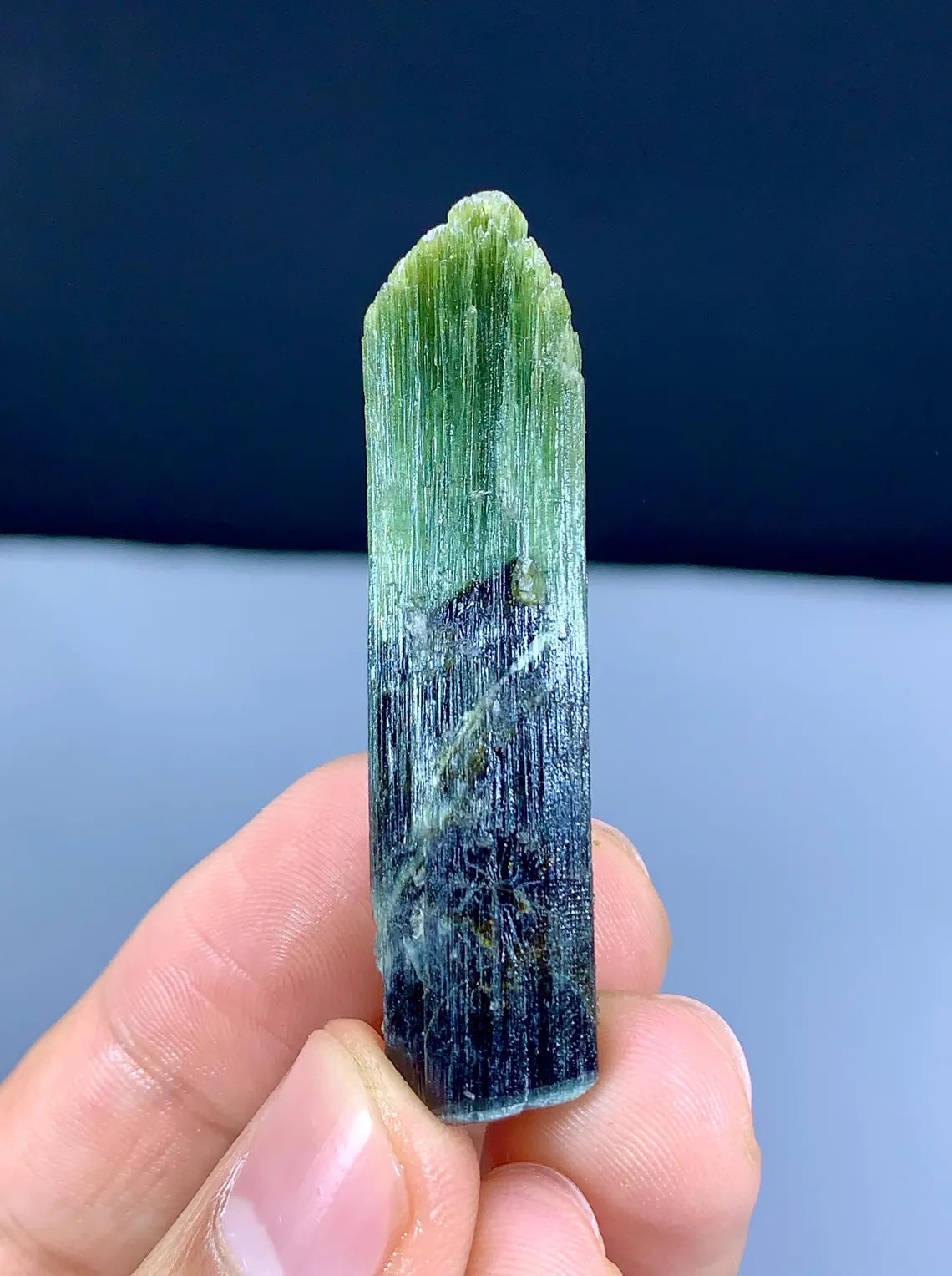 Lustrous Bicolor Tourmaline Crystal from Pakistan - 74.45 carat