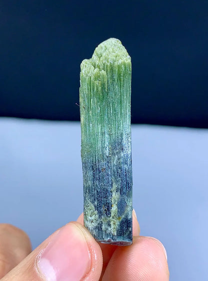 Lustrous Bicolor Tourmaline Crystal from Pakistan - 74.45 carat