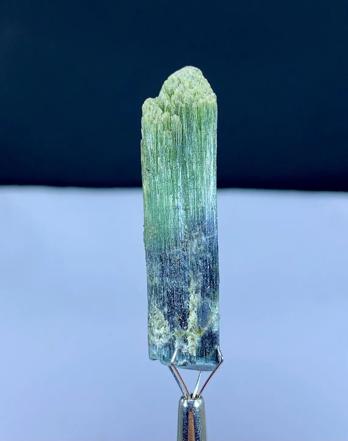 Lustrous Bicolor Tourmaline Crystal from Pakistan - 74.45 carat