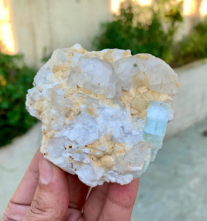 Natural Sky Blue Aquamarine on Quartz from Pakistan - 238 grams