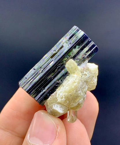 Bicolor Tourmaline with Topaz, Tantalite Inclusions and Lepidolite, 23 gram