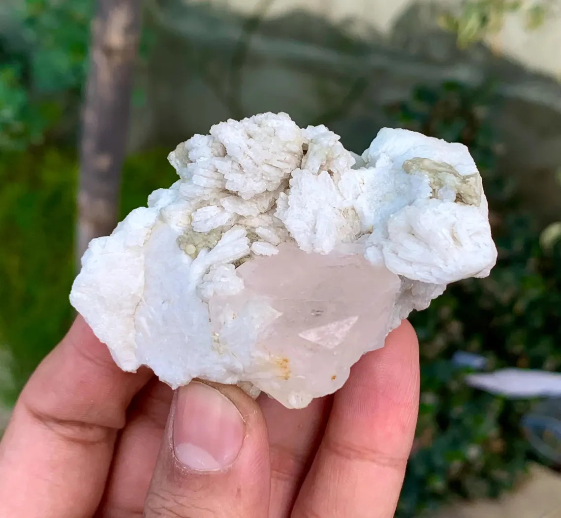 Pink Morganite on Cleavelandite Albite from Afghanistan - 117 grams