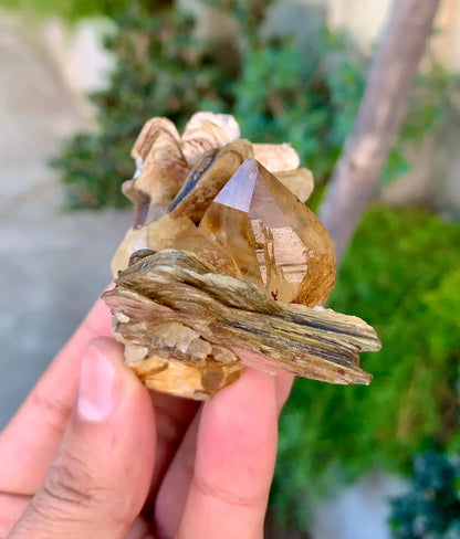 Natural Yellow Quartz on Star Mica, Quartz Crystal, Raw Quartz - 89 grams