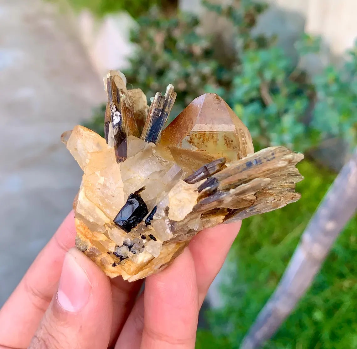 Natural Yellow Quartz on Star Mica, Quartz Crystal, Raw Quartz - 89 grams