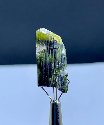 Natural Terminated Green Cap Tourmaline Crystal from Pakistan - 35 carats