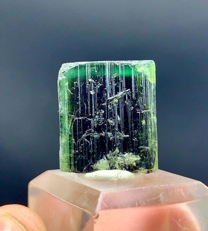 Natural Terminated Green Cap Tourmaline Crystal - 48.60 carats