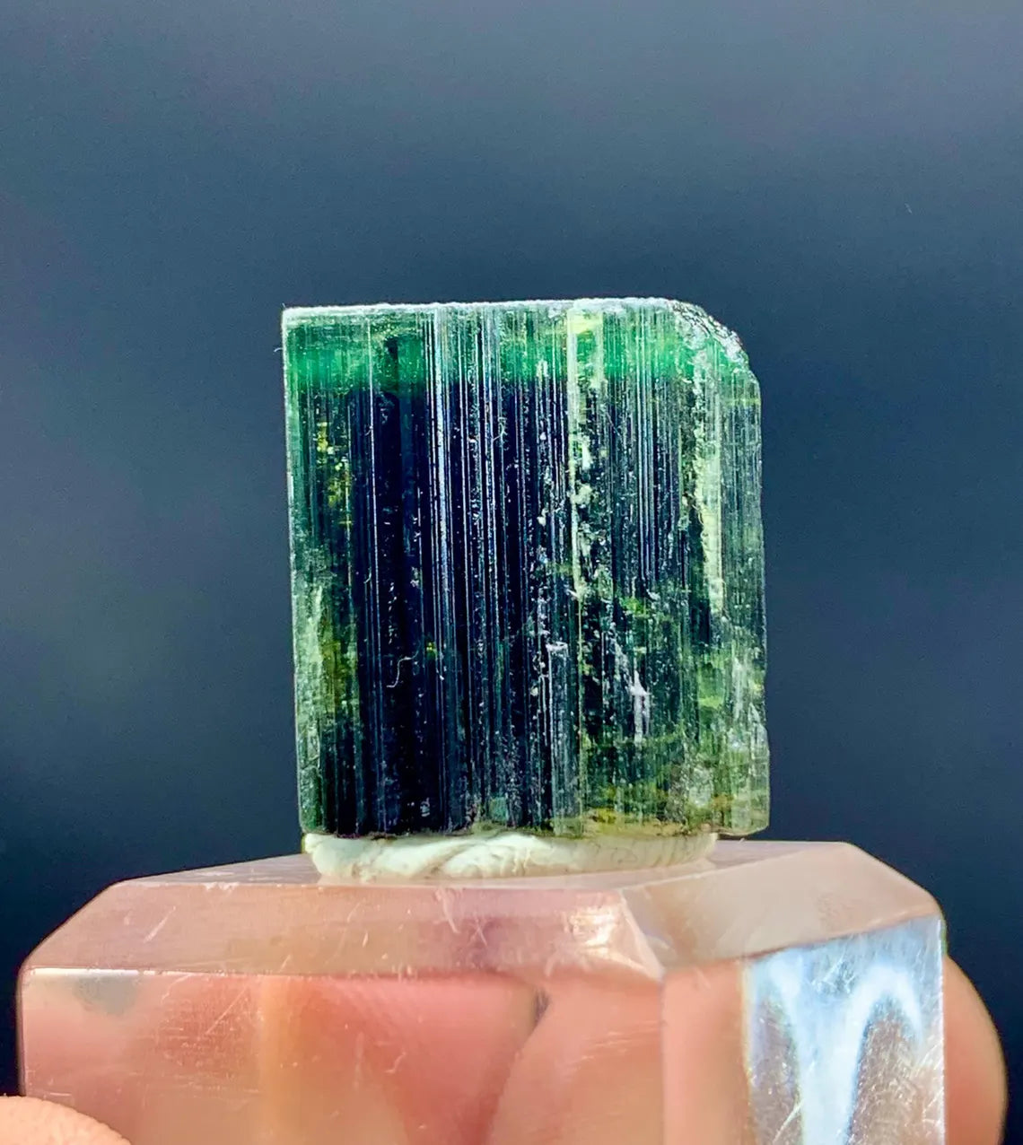 Natural Terminated Green Cap Tourmaline Crystal - 48.60 carats