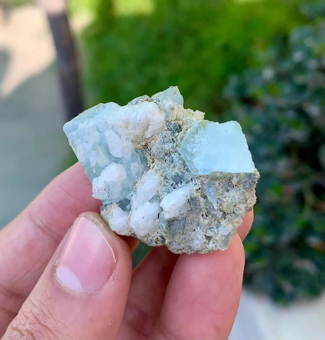 Sky Blue Aquamarine Crystals on Albite, Aquamarine Specimen - 25 grams