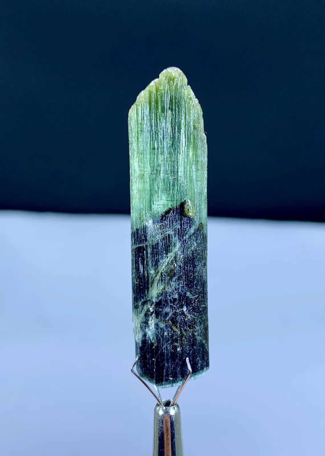 Lustrous Bicolor Tourmaline Crystal from Pakistan - 74.45 carat