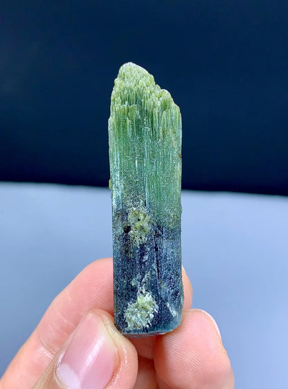 Lustrous Bicolor Tourmaline Crystal from Pakistan - 74.45 carat