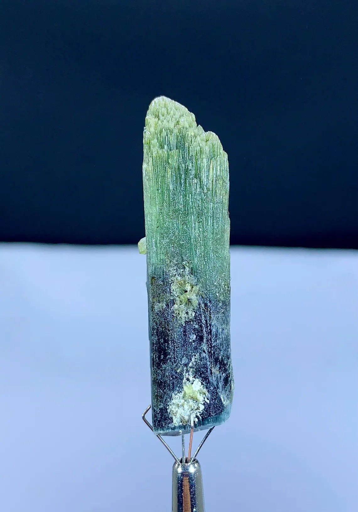 Lustrous Bicolor Tourmaline Crystal from Pakistan - 74.45 carat