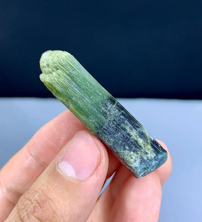 Lustrous Bicolor Tourmaline Crystal from Pakistan - 74.45 carat