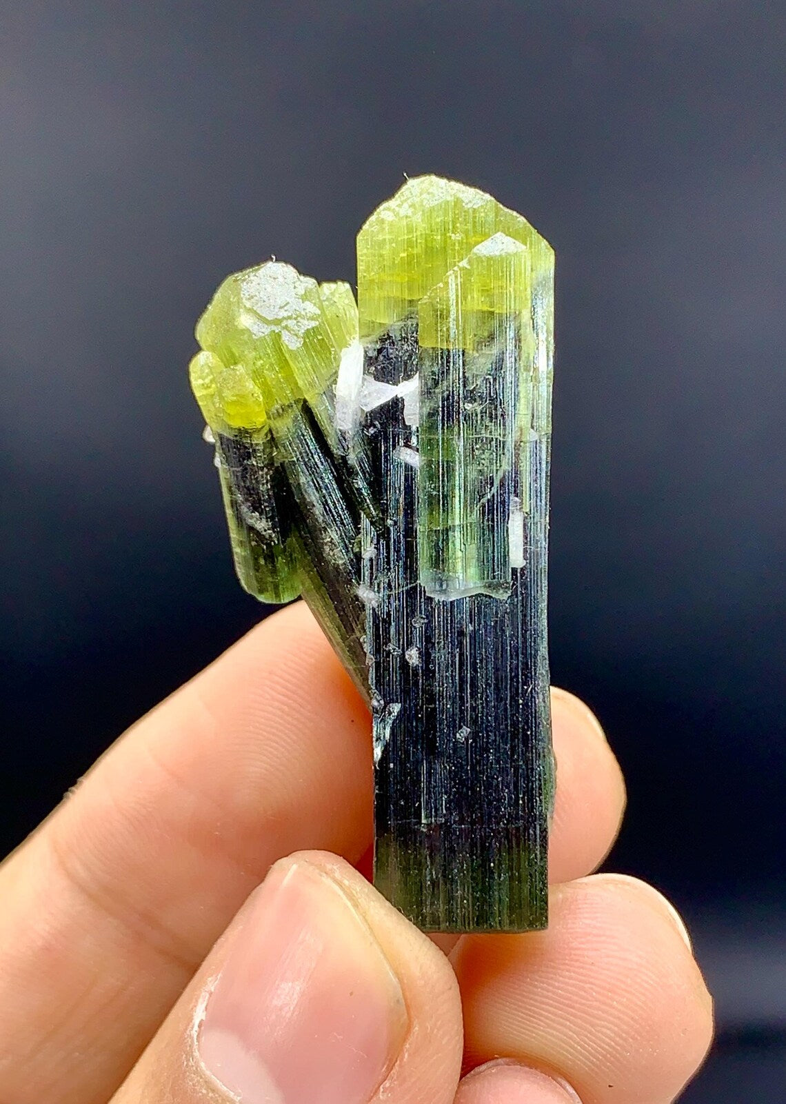 Amazing Bicolor Tourmaline Twinned Tourmaline, Natural Green Cap Crystals - 72.60 carat