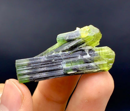 Amazing Bicolor Tourmaline Twinned Tourmaline, Natural Green Cap Crystals - 72.60 carat