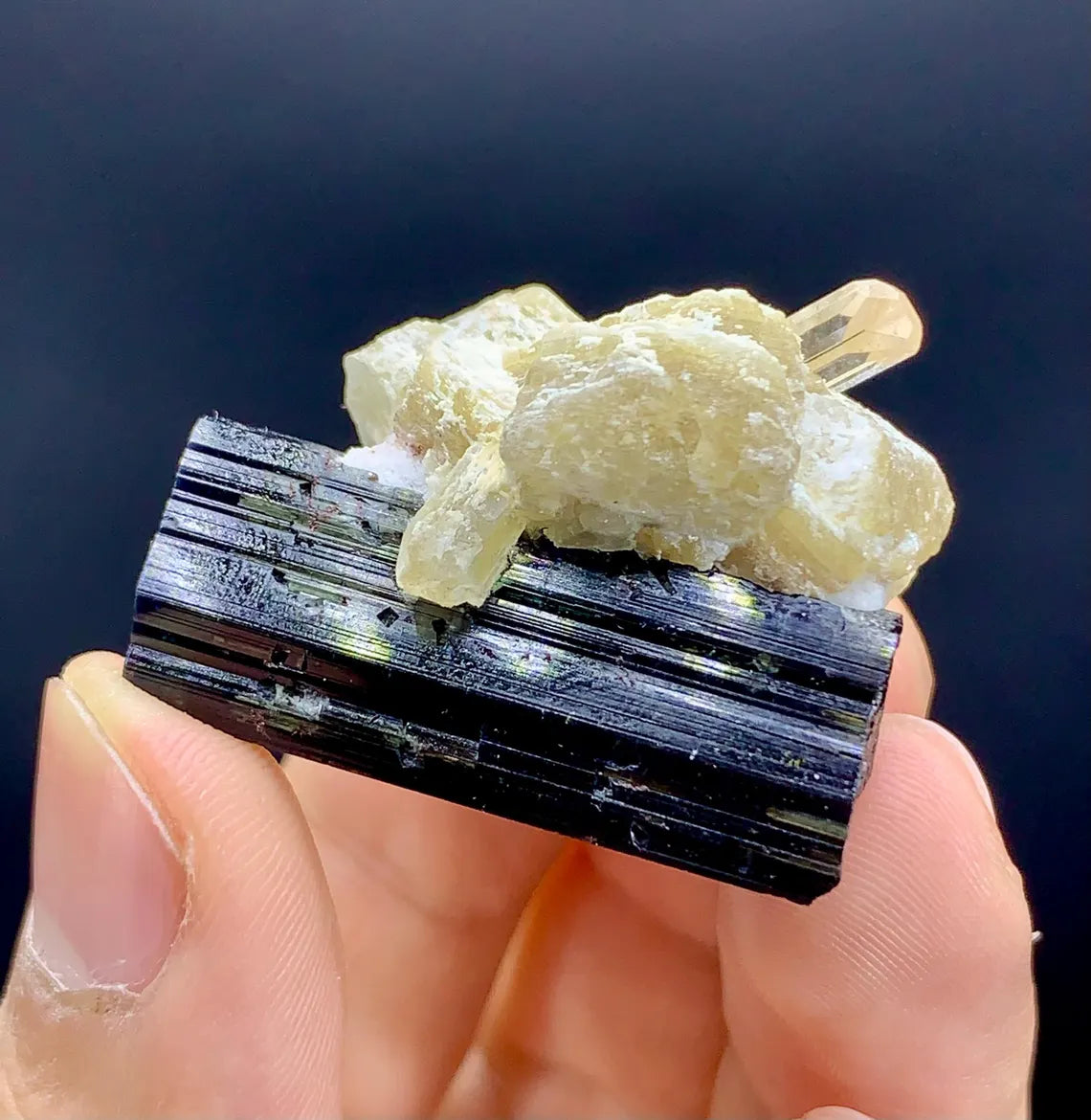 Bicolor Tourmaline with Topaz, Tantalite Inclusions and Lepidolite, 23 gram