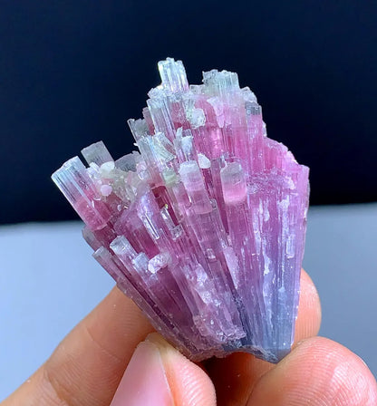 66.10 Carats Amazing Bicolor Cotton Candy Tourmaline Cluster from Afghanistan