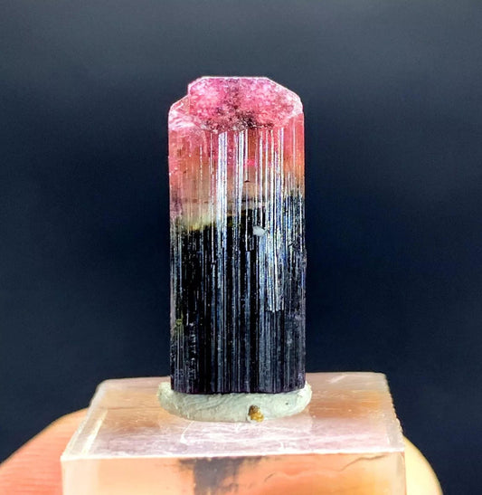 Natural Bicolor Tourmaline Crystal from Paprok Afghanistan - 14.55 carats