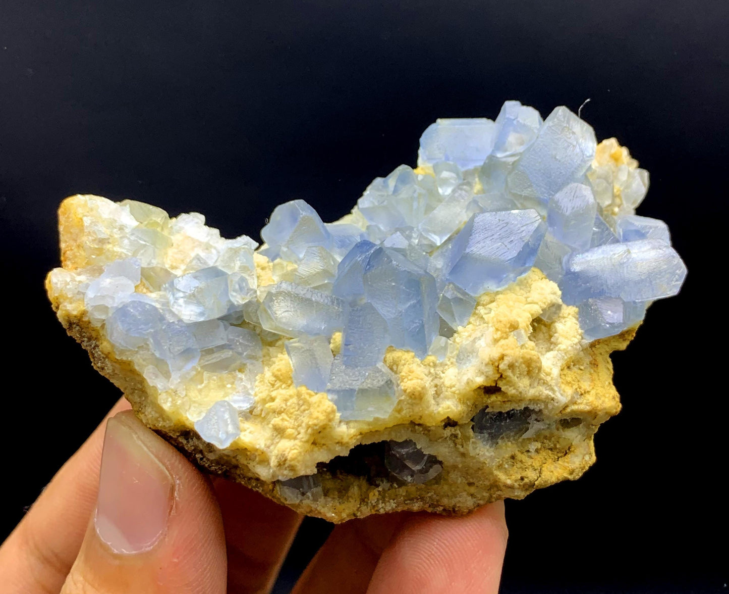 Natural Blue Color Celestine Crystals on Yellow Calcite from Afghanistan - 109 gram