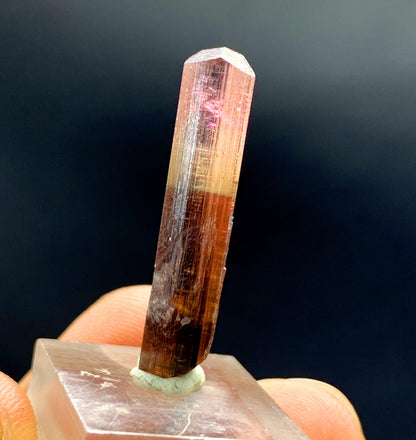 Natural Bicolor Lipstick Tourmaline Crystal from Paprok Afghanistan - 9.20 carat