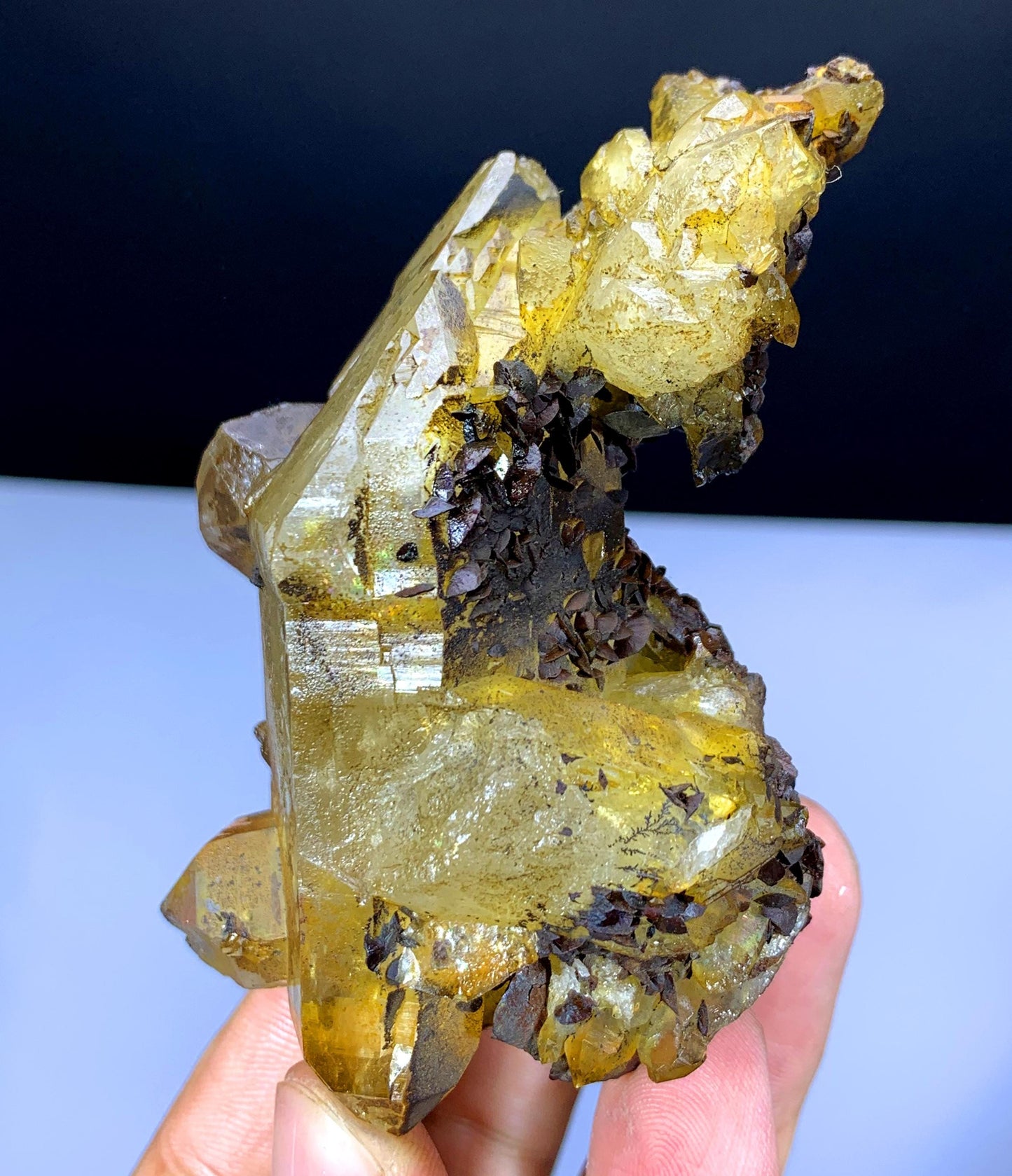 Natural Siderite Cluster on Yellow Quartz from Pakistan - 163 gram