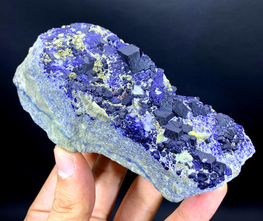 Ink Blue Lapis Lazuli with Golden Pyrite on Matrix from Afghanistan - 344 gram