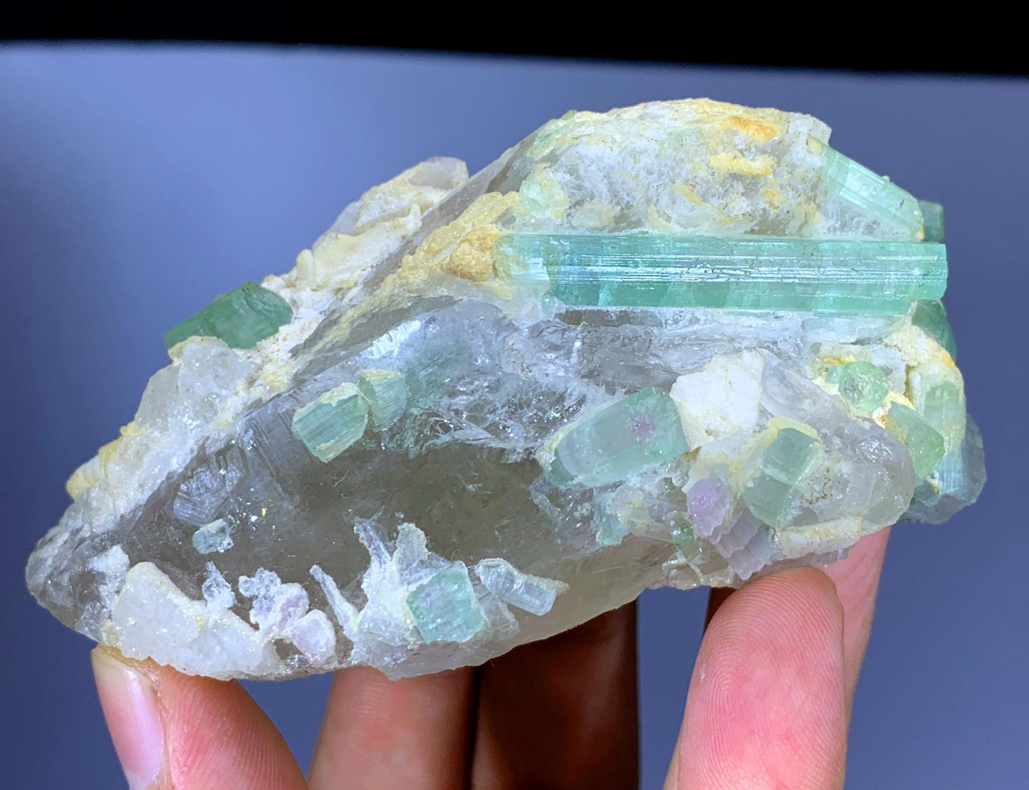 Natural Bicolor Tourmaline Crystals on Quartz from Afghanistan - 235 gram