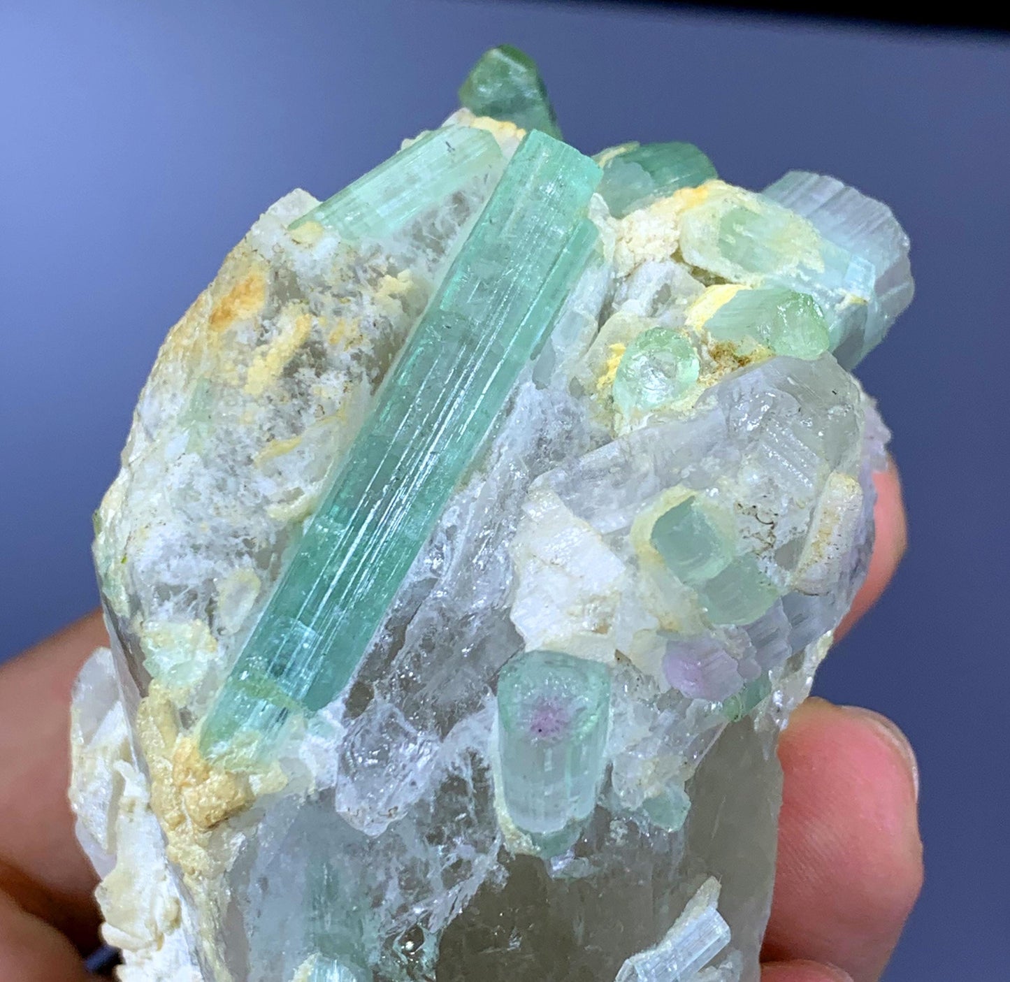 Natural Bicolor Tourmaline Crystals on Quartz from Afghanistan - 235 gram