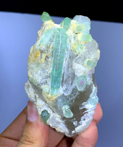 Natural Bicolor Tourmaline Crystals on Quartz from Afghanistan - 235 gram