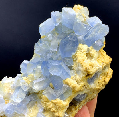 Natural Blue Color Celestine Crystals on Yellow Calcite from Afghanistan - 109 gram