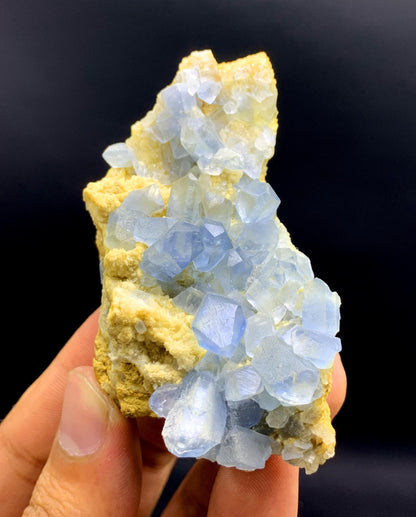 Natural Blue Color Celestine Crystals on Yellow Calcite from Afghanistan - 109 gram