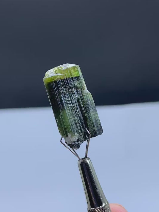 Natural Terminated Green Cap Tourmaline Crystal from Pakistan - 35 carats